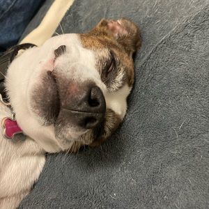 Meet your Posher, Madelyn